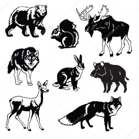 Forest Animals Clipart Black And White