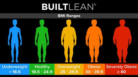 BMI Chart for Men & Women: Is BMI Misleading? - BuiltLean