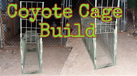 How to build a Coyote Cage Trap. Attempt #1. - YouTube