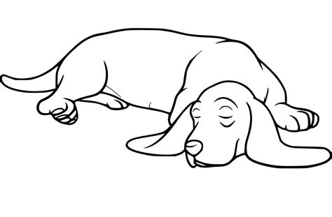 Lovely Basset Hound Coloring Page - Free Printable Coloring Pages for Kids