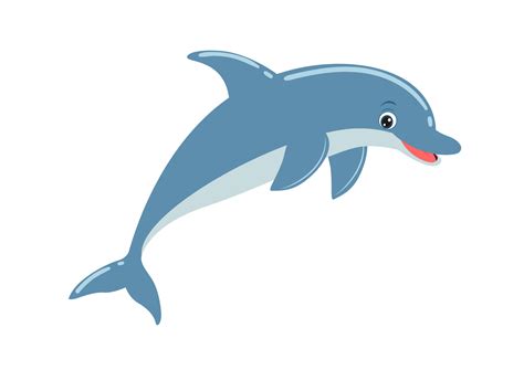 Dolphin Cartoon