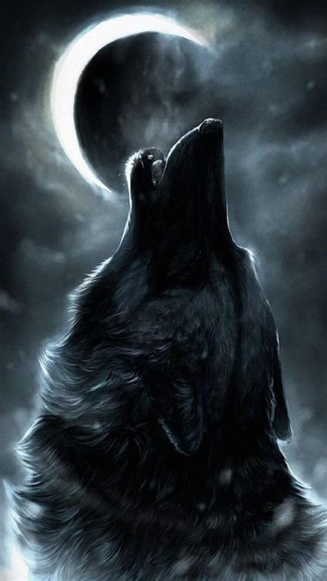 98 Wallpaper Dark Wolf Picture - MyWeb