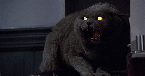 The Best Horror Movies About Animals, Ranked