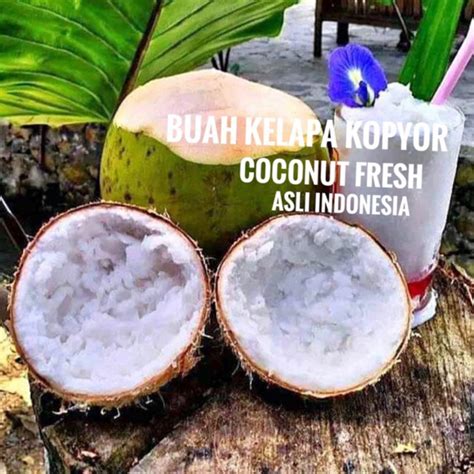 Jual BUAH KELAPA KOPYOR / Coconut fresh asli Indonesia | Shopee Indonesia