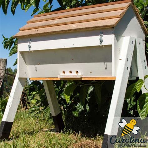 How to Build a Beehive of Your Own | Building a beehive, Bee hive, Bee ...