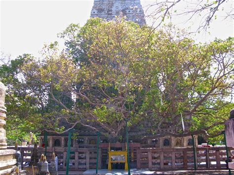 Mahabodhi Temple (Bodh Gaya) Historical Facts and Pictures | The ...