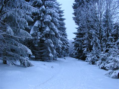 File:Falk Oberdorf Wiehengebirge Winter Heidbrink.JPG - Wikimedia Commons