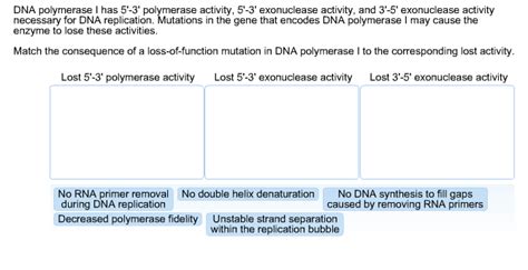 Solved: DNA Polymerase I Has 5'-3' Polymerase Activity, 5'... | Chegg.com