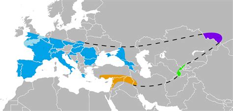 Neanderthal - Wikipedia