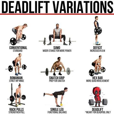 Deadlift Variations : r/War2fit