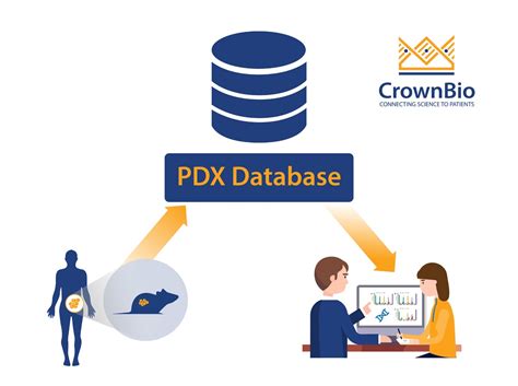 3 Tips to Navigate a PDX Database