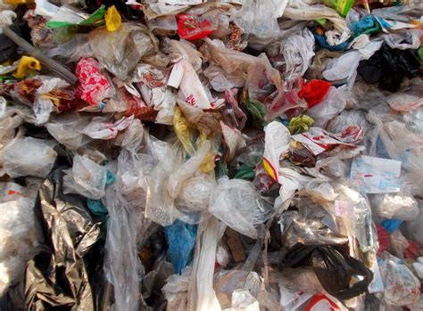 Plastic Bags in the Great Pacific Garbage Patch | EarthCapades