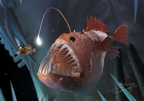 What do Angler fish Eat? Anglerfish Diet - SeaFish