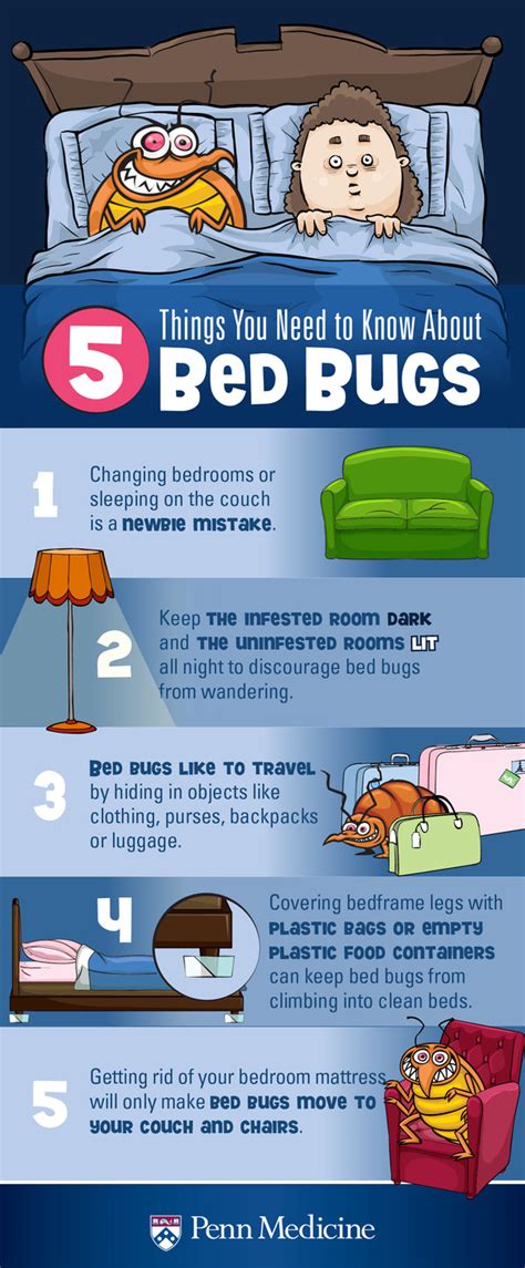 How To Prevent Bed Bug From Biting You | Bed Bug Get Rid