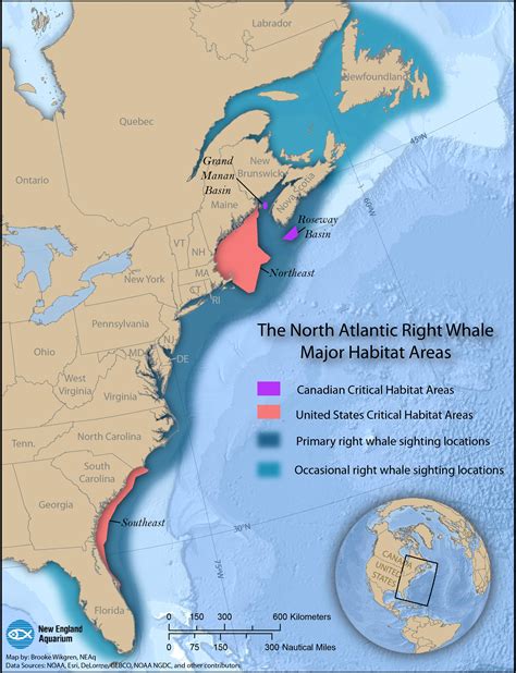 Identifying Important Habitat Areas - Canadian Whale Institute