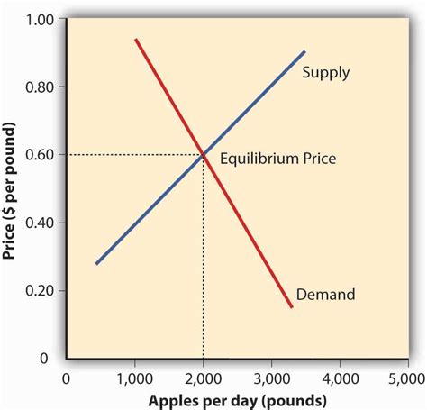 Perfect Competition and Supply and Demand