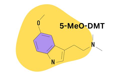 5-MeO-DMT: Unpacking The Mysteries of This Powerful Psychedelic ...