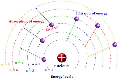 The Bohr Model Can Be Used to Describe Which Species