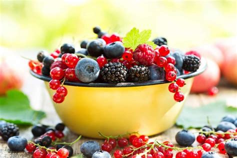 7 Berries with Amazing Health Benefits