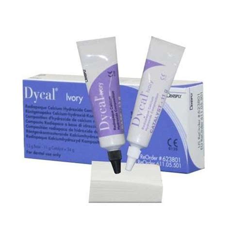 Dentsply Dycal Calcium Hydroxide | Cavity Liner & Bases | Dentcruise