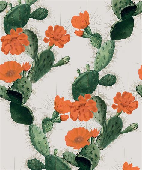 Cactus Wallpaper • Bold Alluring Cacti Design • Milton & King