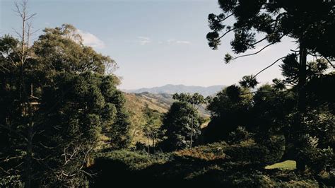 Aerial Shot of a Landscape · Free Stock Video