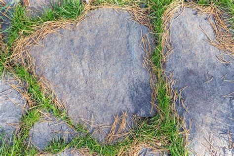 Stone Footpath Texture with Green Grass Around Stock Photo - Image of ...