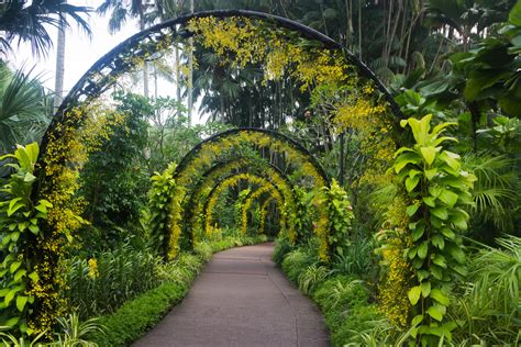 Enjoy In Orchid Park In Singapore Botanical Gardens - YourAmazingPlaces.com