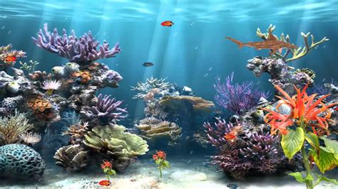 Aquarium HD 1080p Wallpaper (84+ images)