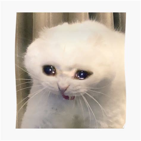 "Crying Cat Meme" Poster by cherrygloss | Redbubble