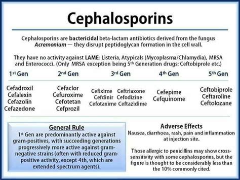 Cephalosporin: structure, classification, clinical use and mode of ...