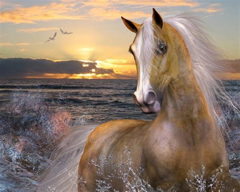 Free Horse Screensavers And Wallpaper - WallpaperSafari