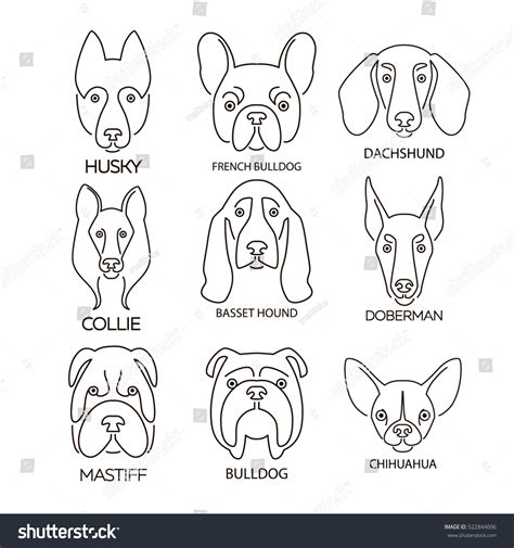 26,136 Dog Face Line Drawing Images, Stock Photos & Vectors | Shutterstock