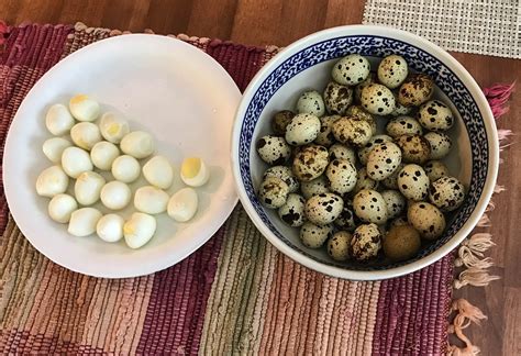 Cannundrums: Quail Eggs