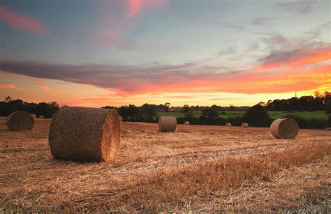 Sunset Over Field Of Hay Bales Photograph by Verity E. Milligan