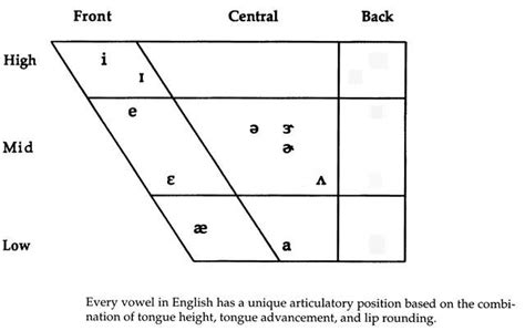 Back Vowels Diagram | Quizlet