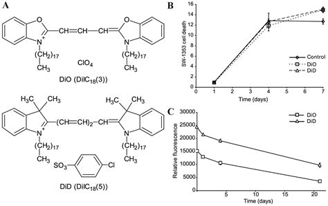 Quantification of the asymmetric migration of the lipophilic dyes, DiO ...