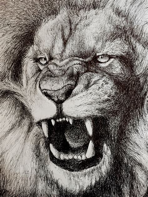 Angry Lion Drawing at GetDrawings | Free download