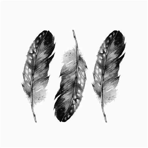 Buy Three Feathers Black And White wall mural - Free shipping at ...