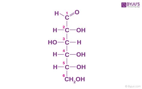 Classification of Carbohydrates - Carbohydrate Definition, Types of ...