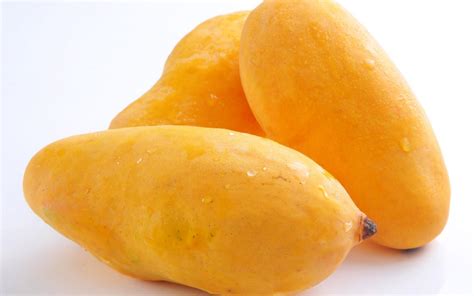 Types of Mangoes and Their Speciality | Zameen Blog