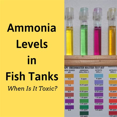 Health Citation: Ammonia Level Range