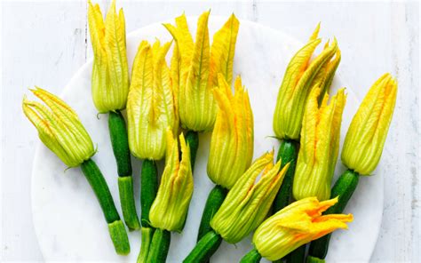 Images Of Male And Female Zucchini Flowers