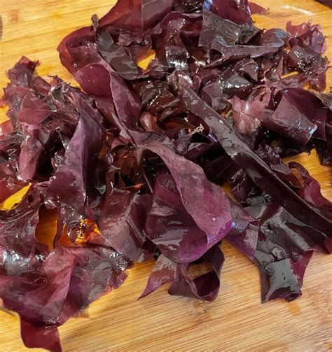 Fresh (not dried) Dulse Seaweed - The Irish Seaweed Company