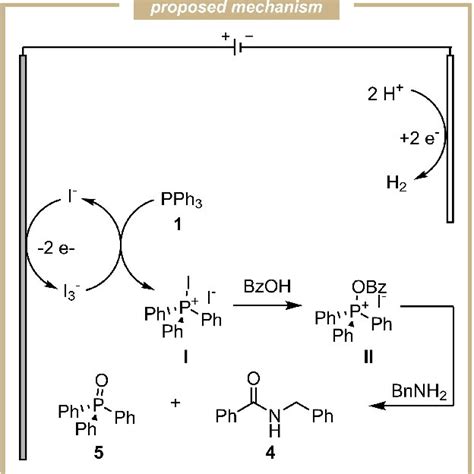 Scheme 4. Proposed mechanism for the electrochemical amide bond ...