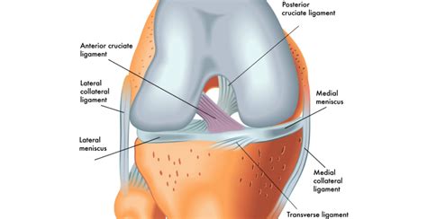 ACL & PCL Ligament Injuries | Metropolitan Institute of Pain