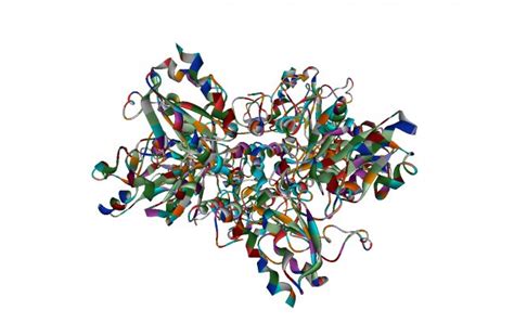 Maltase Enzyme Structure | Like Success