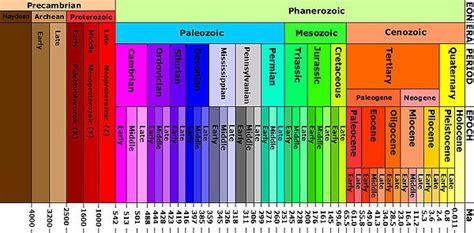 The Geologic Column