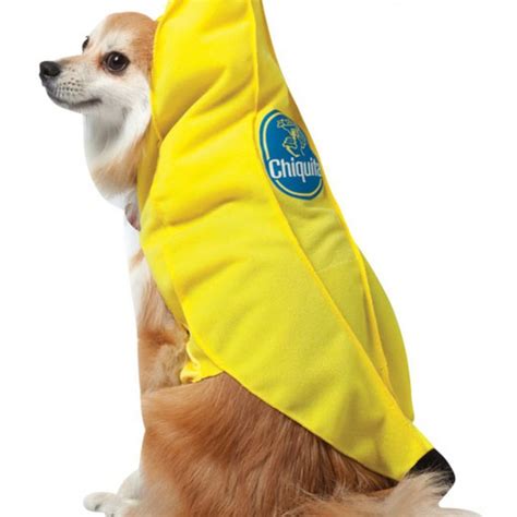 Chiquita Banana Dog Costume - Halloween Costume Ideas 2023