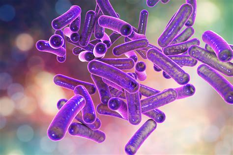 Learn About Prokaryotic Cells